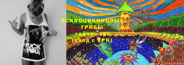 ПСИЛОЦИБИНОВЫЕ ГРИБЫ Бородино